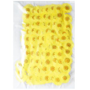 [대용량] 드라이플라워 꽃송이 276G 30-35 [마가렛 노랑[대] 3cm~3.5cm