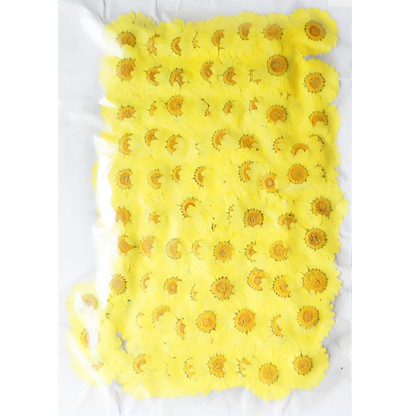 [대용량] 드라이플라워 꽃송이 [마가렛 노랑[소] 2cm~2.5cm 
