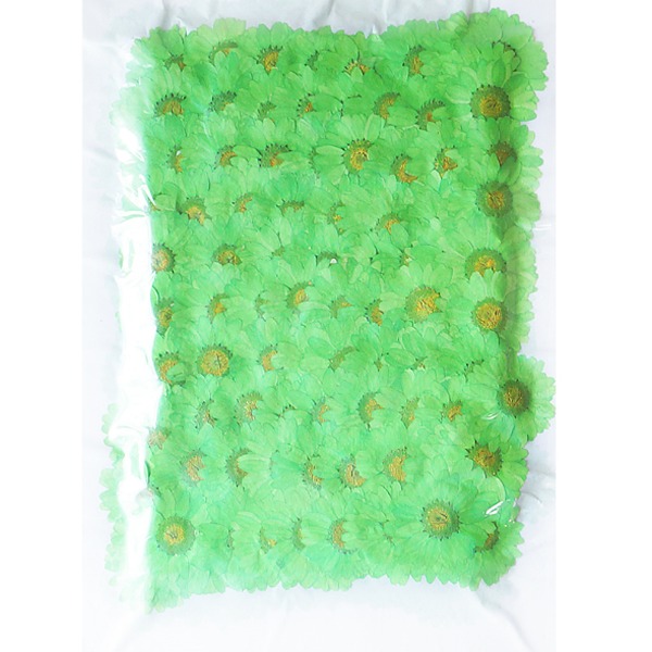 [대용량] 드라이플라워 꽃송이 [마가렛 초록[소] 2cm~2.5cm