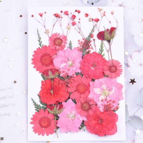 17호 [소포장]압화 꽃과 꽃잎 종합