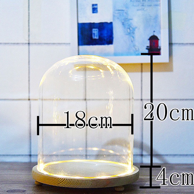 받침 LED 유리돔  원목 클로 003 [18cm*20cm]
